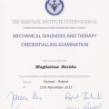 Powiększ obraz: certificate 11