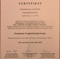 Powiększ obraz: certificate 2