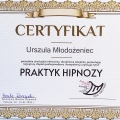 Powiększ obraz: certificate 7