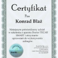 Powiększ obraz: certificate 12