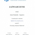 Powiększ obraz: certificate 11