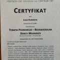 Powiększ obraz: certificate 5