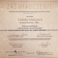 Powiększ obraz: certificate 8