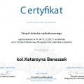 Powiększ obraz: certificate 2
