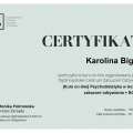 Powiększ obraz: certificate 13