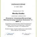 Powiększ obraz: certificate 1