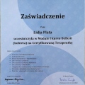 Powiększ obraz: certificate 8