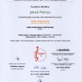 Powiększ obraz: certificate 17