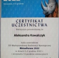 Powiększ obraz: certificate 4