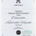 Powiększ obraz: certificate 3