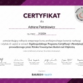 Powiększ obraz: certificate 2