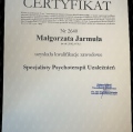Powiększ obraz: certificate 1