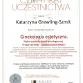 Powiększ obraz: certificate 10