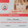 Powiększ obraz: certificate 4