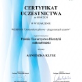 Powiększ obraz: certificate 1