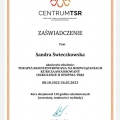 Powiększ obraz: certificate 2