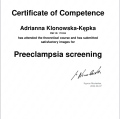 Powiększ obraz: certificate 3