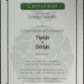 Powiększ obraz: certificate 33