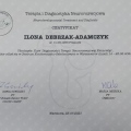Powiększ obraz: certificate 5