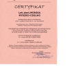 Powiększ obraz: certificate 4