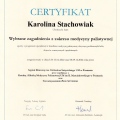 Powiększ obraz: certificate 6