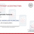 Powiększ obraz: certificate 3