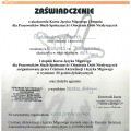 Powiększ obraz: certificate 5