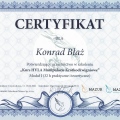 Powiększ obraz: certificate 13