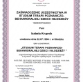 Powiększ obraz: certificate 3