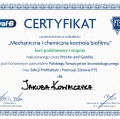 Powiększ obraz: certificate 1
