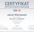 Powiększ obraz: certificate 7