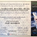 Powiększ obraz: certificate 5