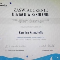 Powiększ obraz: certificate 3