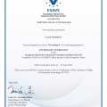 Powiększ obraz: certificate 2