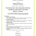 Powiększ obraz: certificate 6