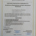 Powiększ obraz: certificate 9