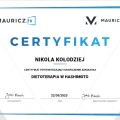 Powiększ obraz: certificate 16