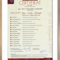 Powiększ obraz: certificate 23