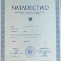 Powiększ obraz: certificate 1