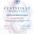 Powiększ obraz: certificate 2