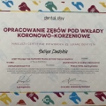 Powiększ obraz: certificate 2