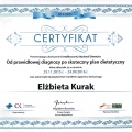 Powiększ obraz: certificate 5