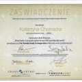 Powiększ obraz: certificate 9