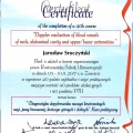 Powiększ obraz: certificate 2