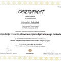 Powiększ obraz: certificate 6