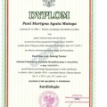 Powiększ obraz: certificate 2