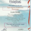 Powiększ obraz: certificate 6