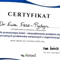 Powiększ obraz: certificate 2