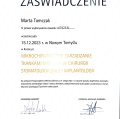 Powiększ obraz: certificate 10