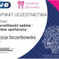 Powiększ obraz: certificate 6